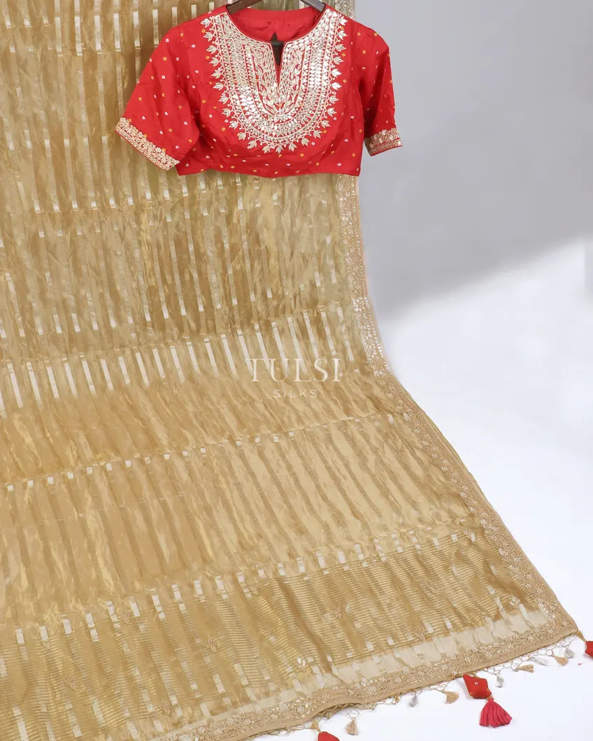 greenish-beige-kora-tissue-organza-embroidery-saree-t569387-t569387-b