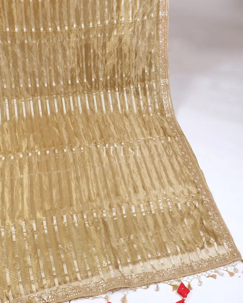 greenish-beige-kora-tissue-organza-embroidery-saree-t569387-t569387-e