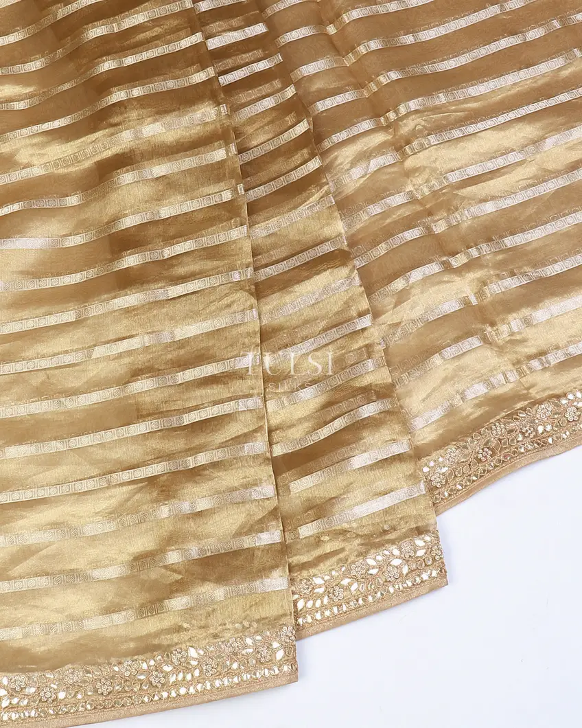 greenish-beige-kora-tissue-organza-embroidery-saree-t569387-t569387-f