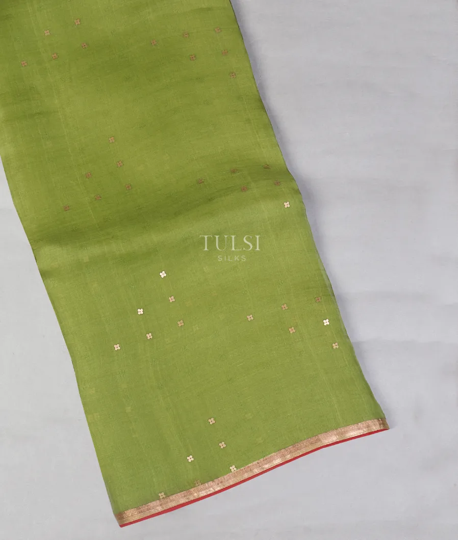 Green Woven Organza Saree T573597-image