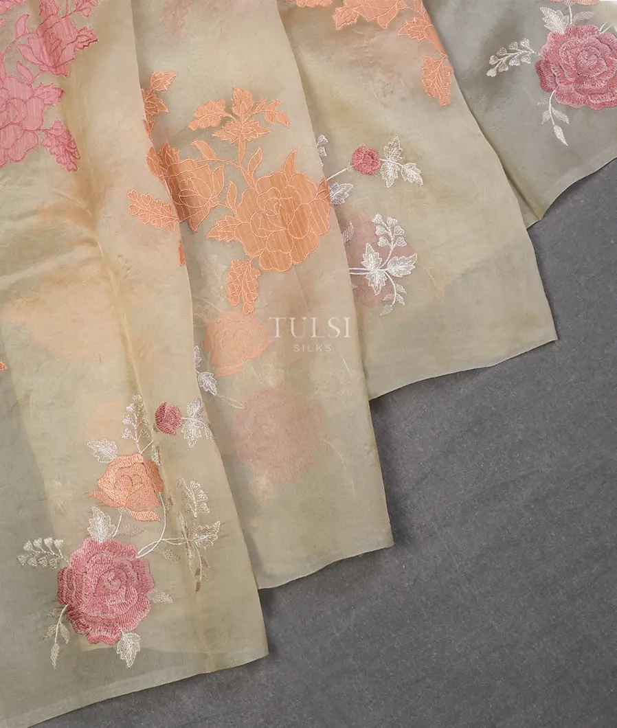 beige-kora-organza-embroidery-saree-t577144-t577144-b
