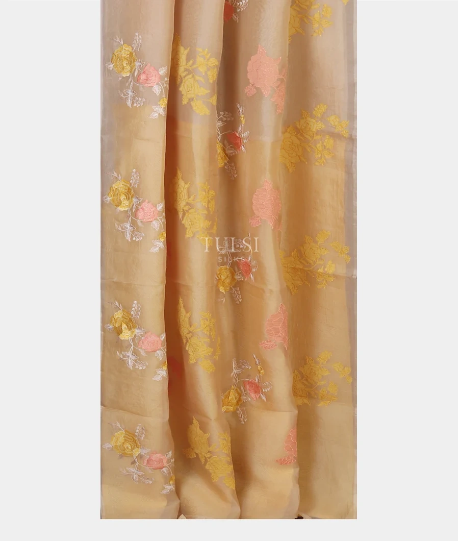beige-kora-organza-embroidery-saree-t577145-t577145-b