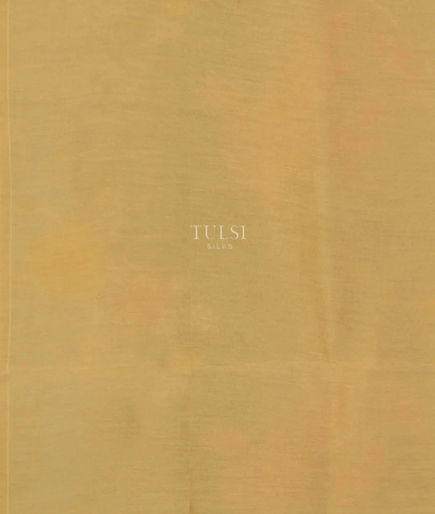 beige-kora-organza-embroidery-saree-t577145-t577145-c