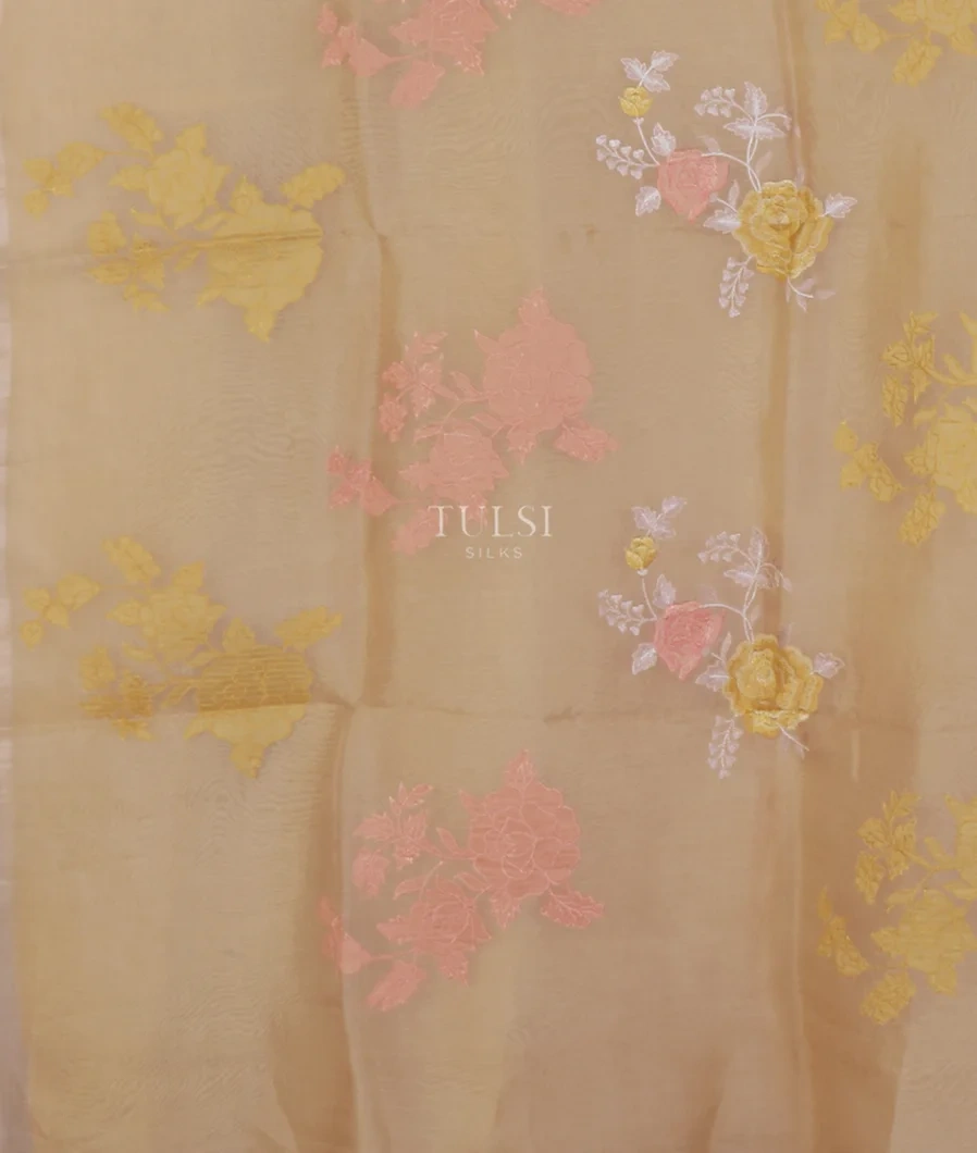beige-kora-organza-embroidery-saree-t577145-t577145-d