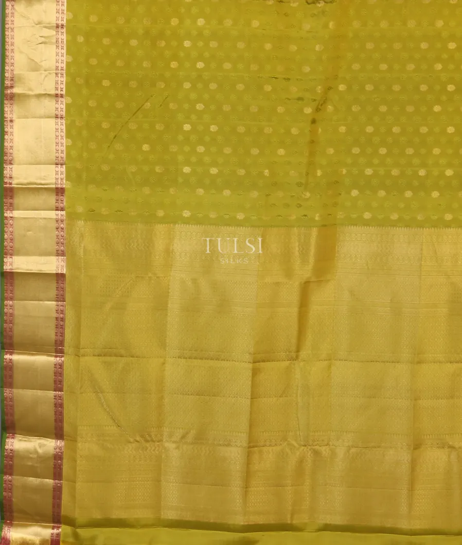yellowish-green-soft-silk-saree-t575375-t575375-d