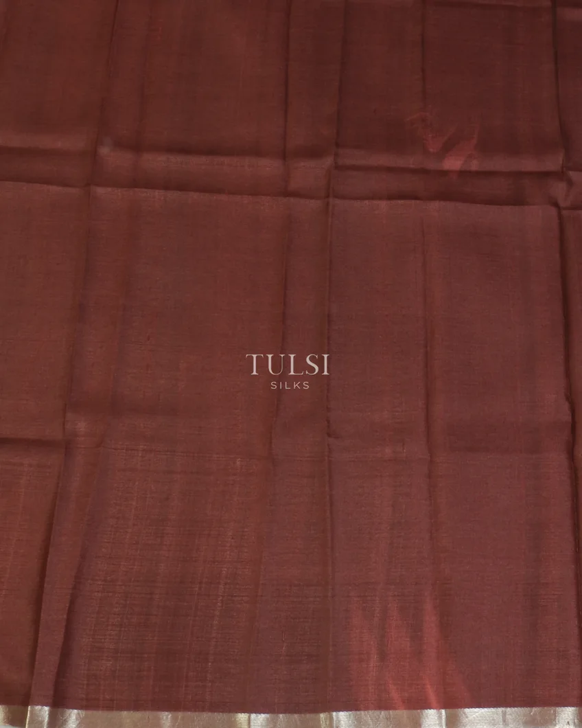 brown-tussar-printed-saree-t520291-t520291-c
