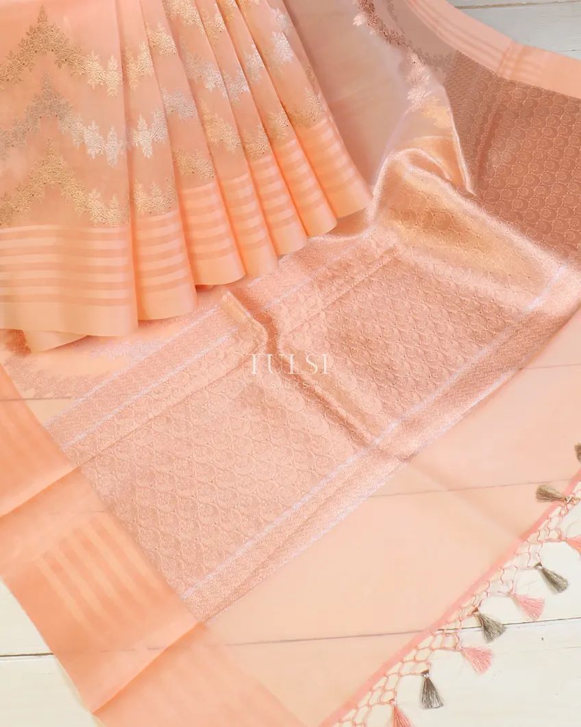 peach-banaras-organza-saree-t578404-t578404-b