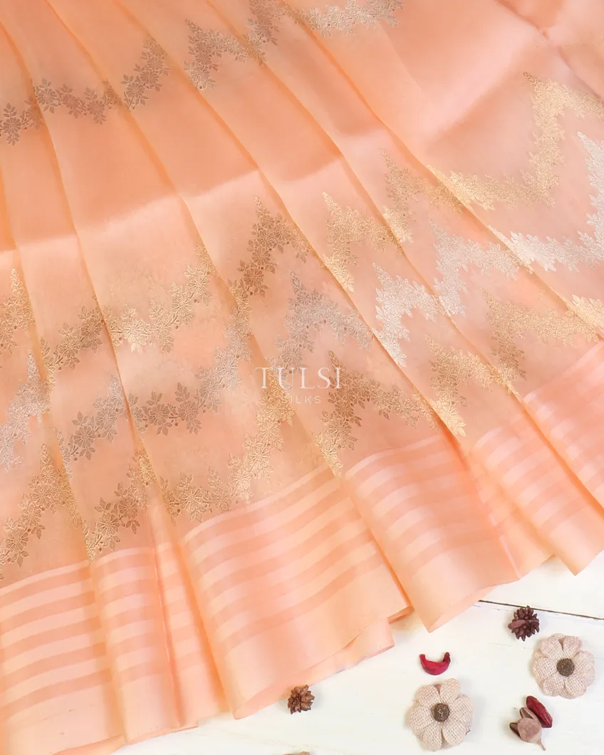 peach-banaras-organza-saree-t578404-t578404-d
