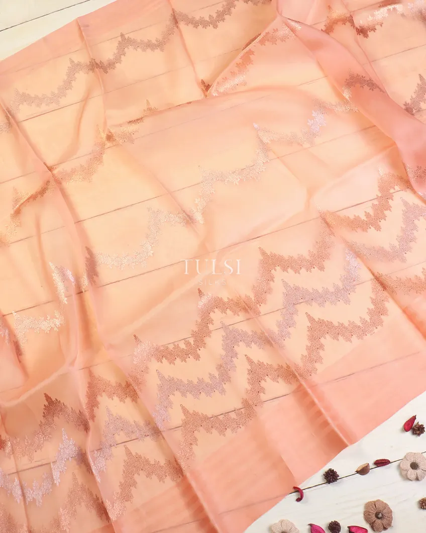 peach-banaras-organza-saree-t578404-t578404-e