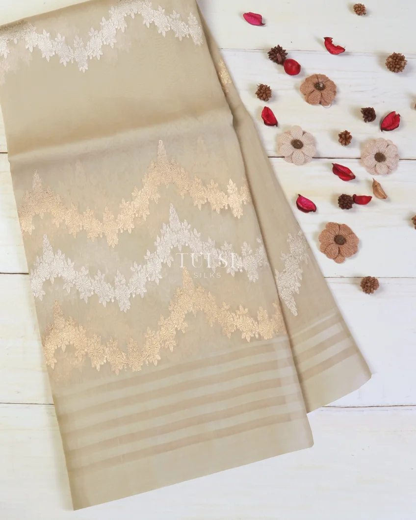 Light Beige Banaras Organza Saree T578403-image