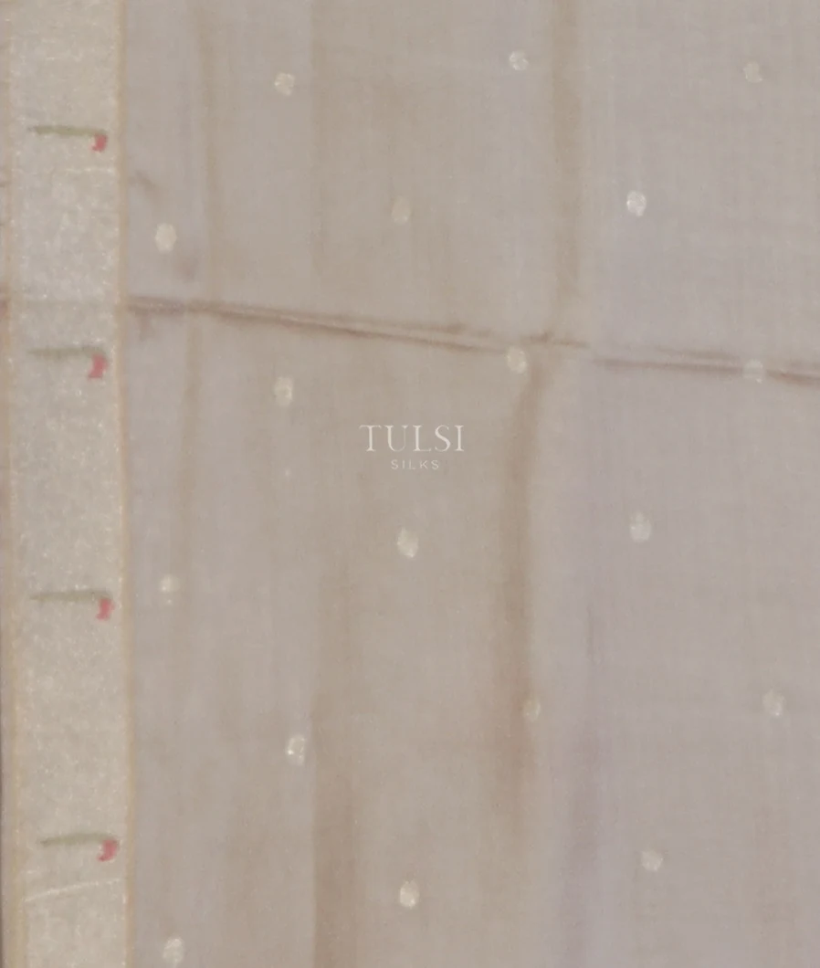 grey-tussar-embroidery-saree-t566667-t566667-c