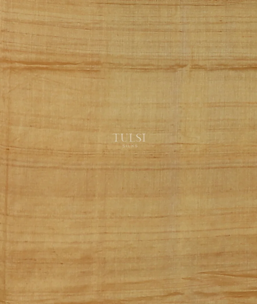 blue-tussar-embroidery-saree-t571514-t571514-c