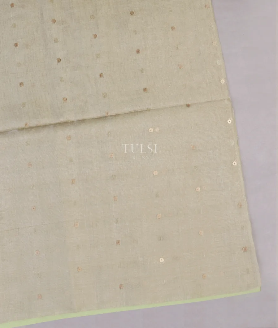 Light Green Tissue Handwoven Tussar Saree T536751-image
