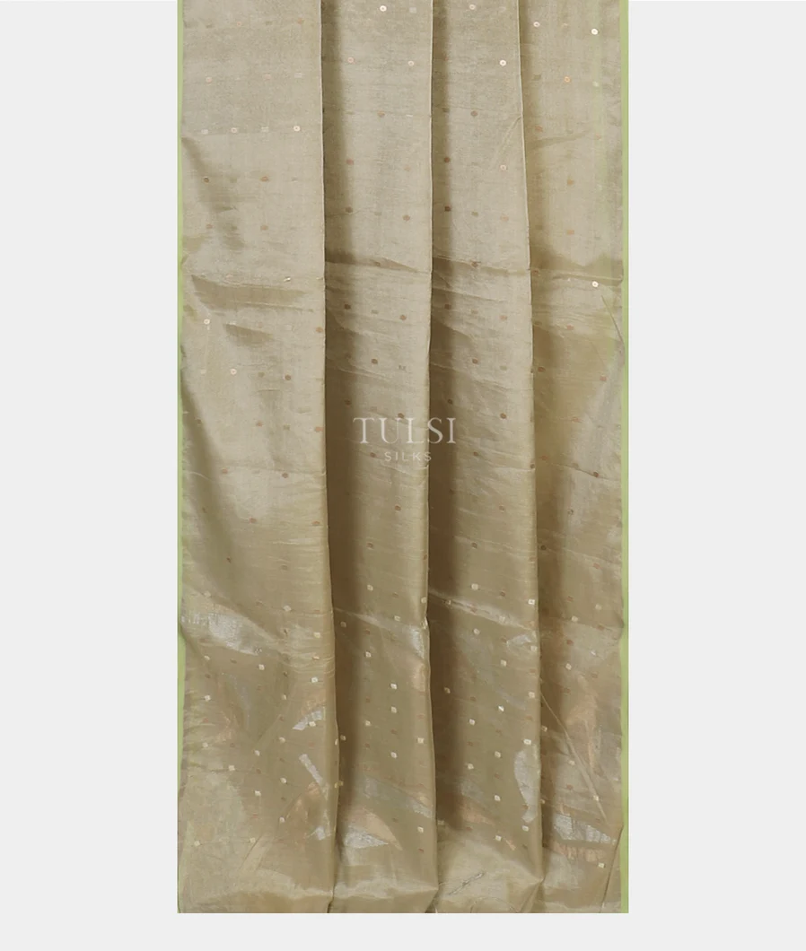 gold-tissue-handwoven-tussar-saree-t536751-t536751-b