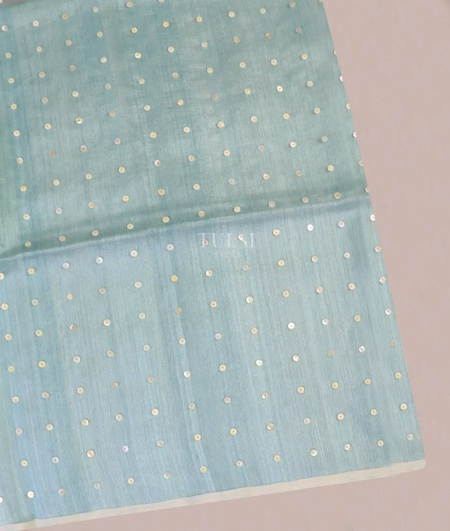 Light Blue Handwoven Tussar Saree T571813-image
