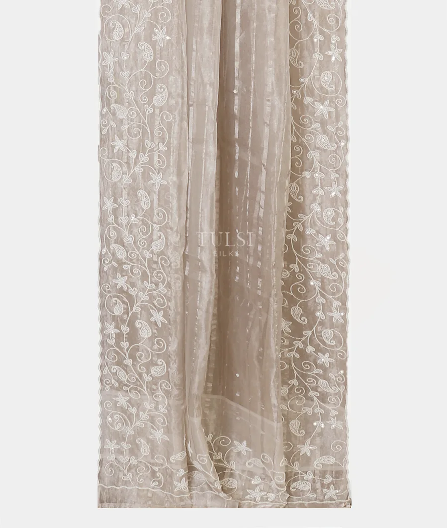 grey-kora-tissue-organza-embroidery-saree-t565743-t565743-b