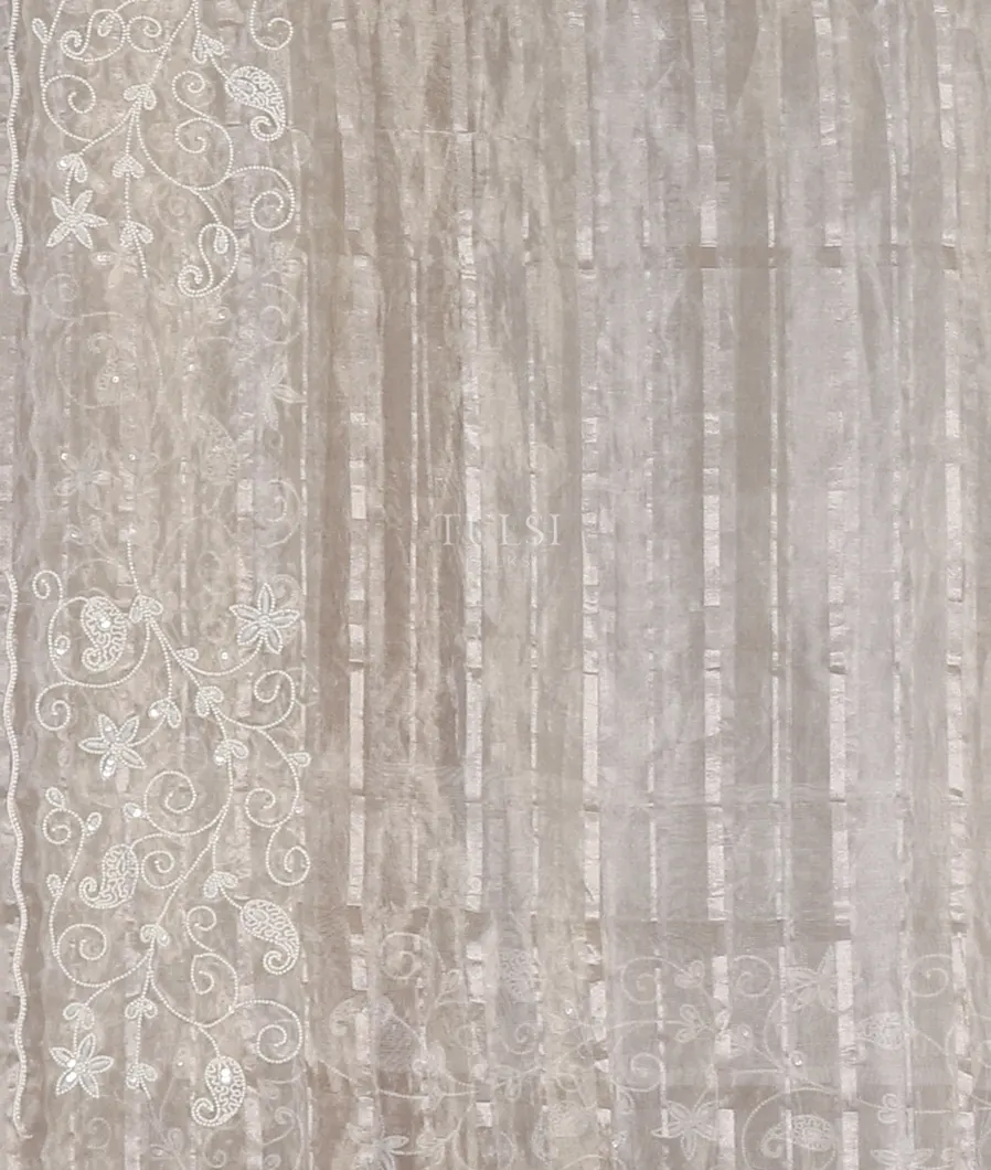 grey-kora-tissue-organza-embroidery-saree-t565743-t565743-c