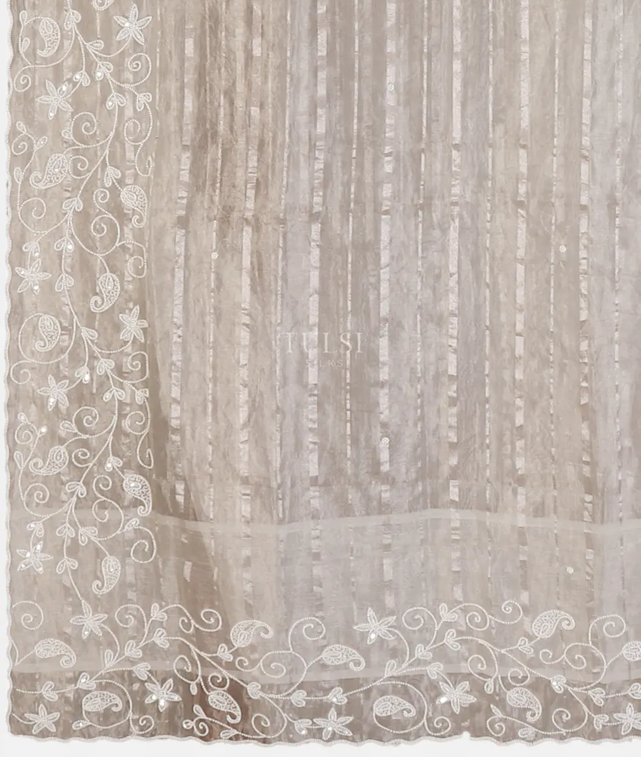 grey-kora-tissue-organza-embroidery-saree-t565743-t565743-d