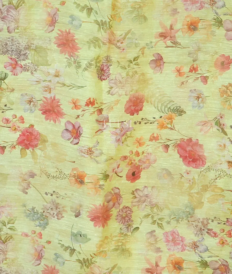 yellowish-green-tussar-organza-saree-t578615-t578615-c