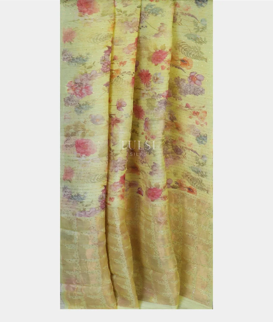 yellowish-green-tussar-organza-saree-t578615-t578615-b
