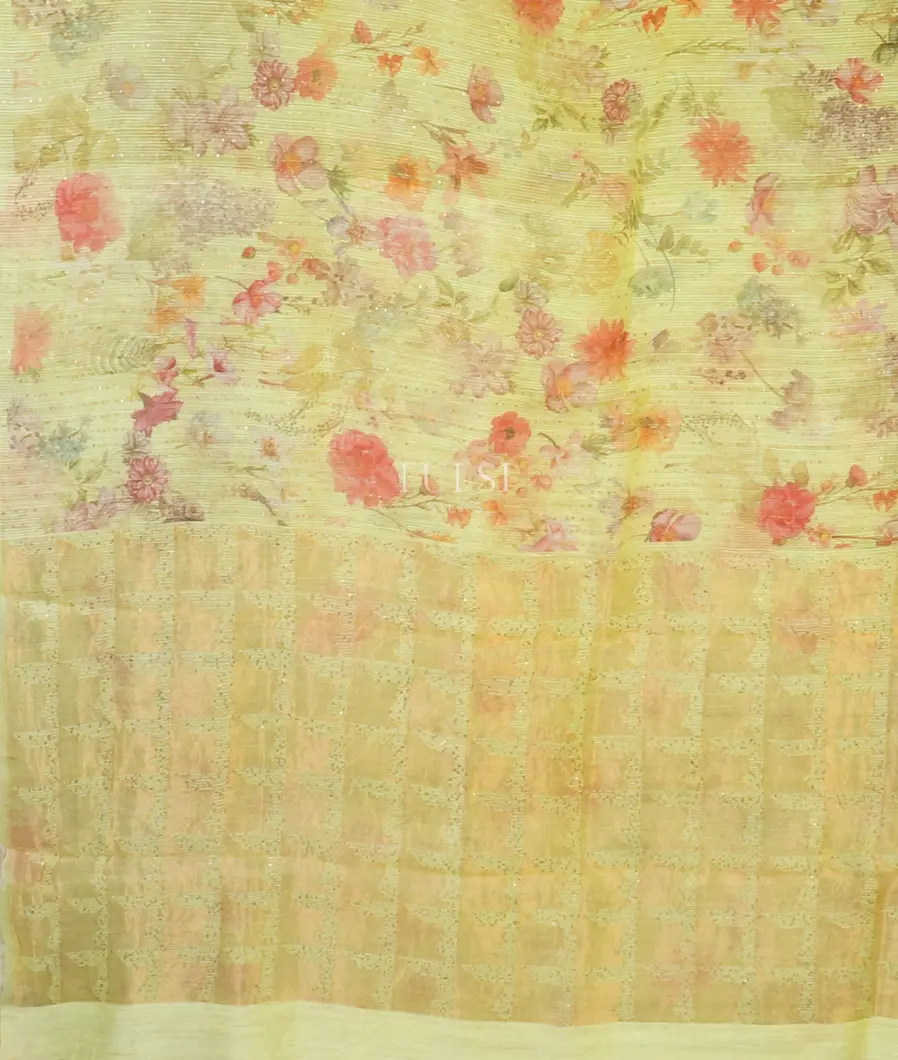 yellowish-green-tussar-organza-saree-t578615-t578615-d