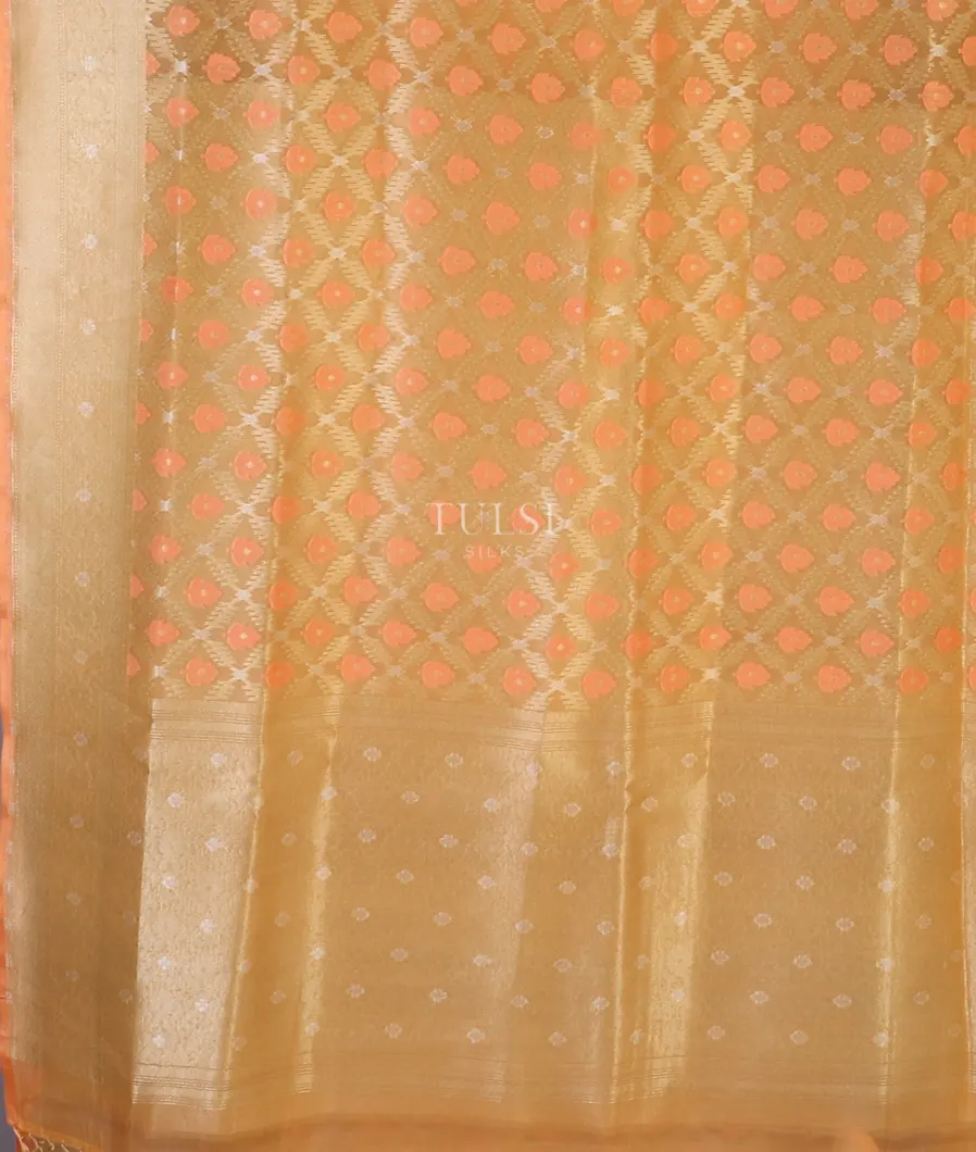 light-peach-banaras-organza-saree-t580264-t580264-d