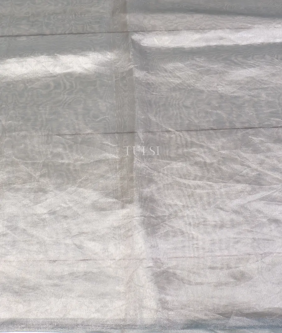 bluish-grey-kora-tissue-organza-embroidery-saree-t575755-t575755-c