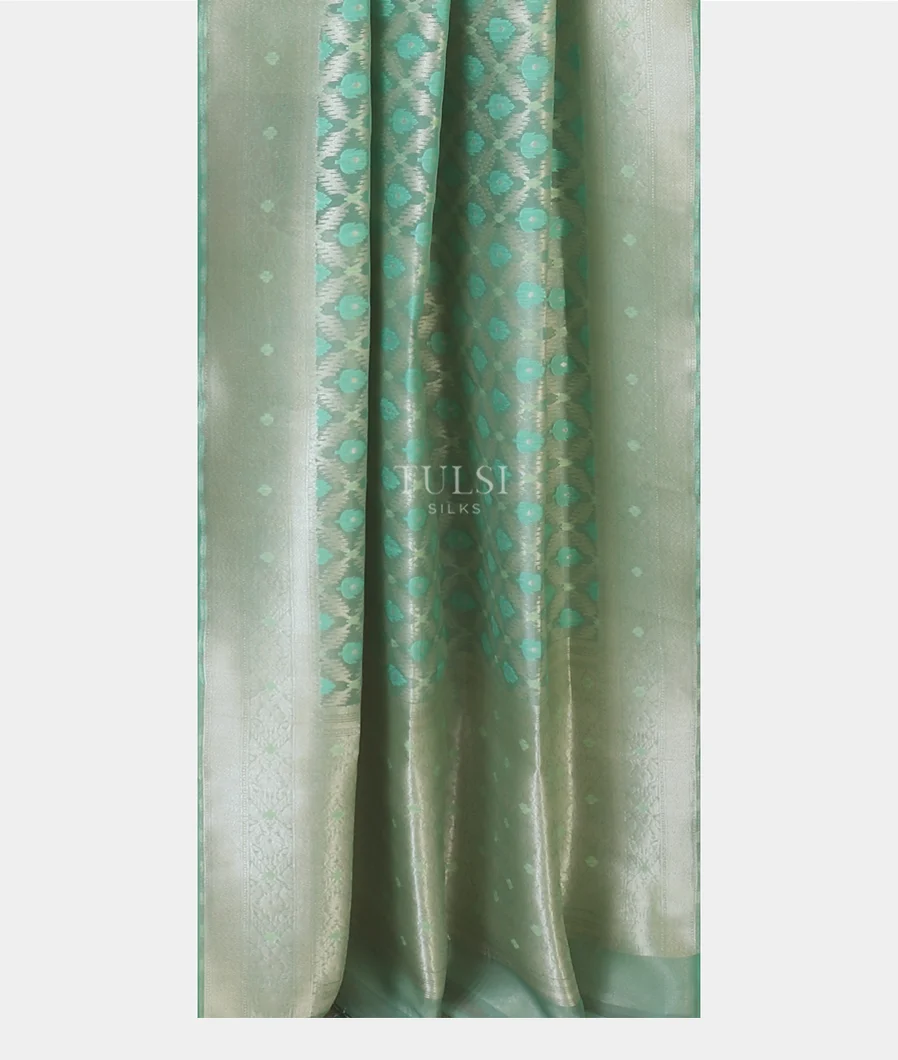 light-green-banaras-organza-saree-t580245-t580245-b