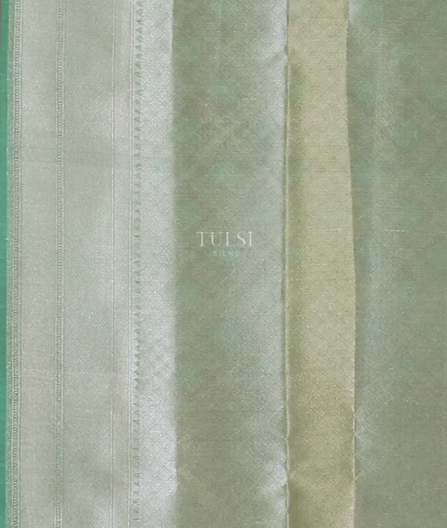 light-green-banaras-organza-saree-t580245-t580245-c