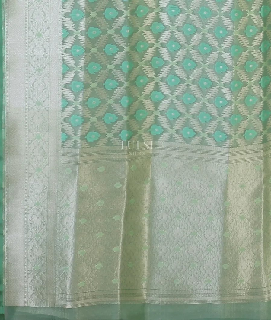 light-green-banaras-organza-saree-t580245-t580245-d