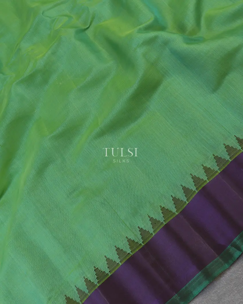 green-gadwal-silk-saree-t577363-t577363-e