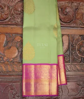 light-green-kanjivaram-silk-saree-t583089-t583089-a