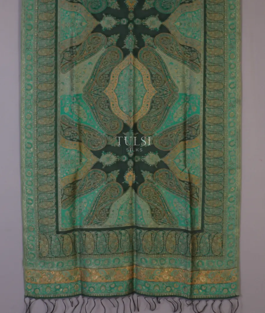 Green Kashmir Kani Silk Dupatta T581234-image