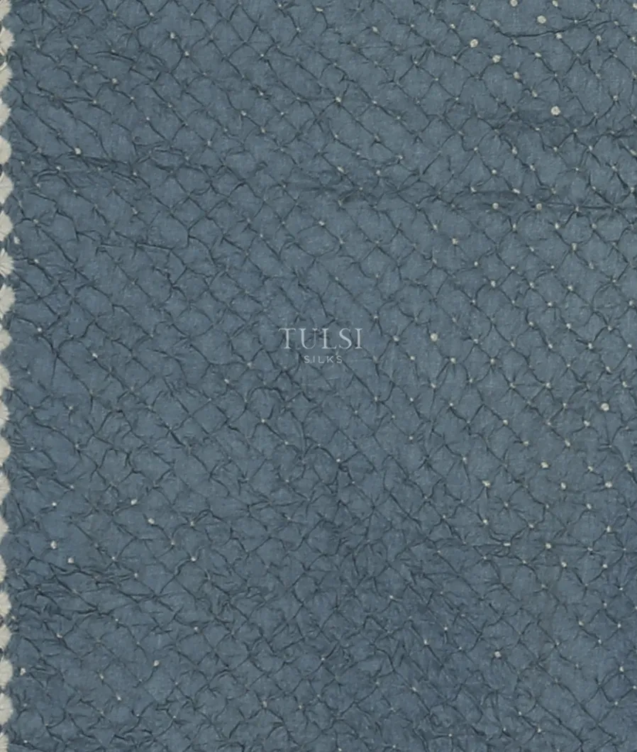 blue-tussar-embroidery-saree-t571198-t571198-c