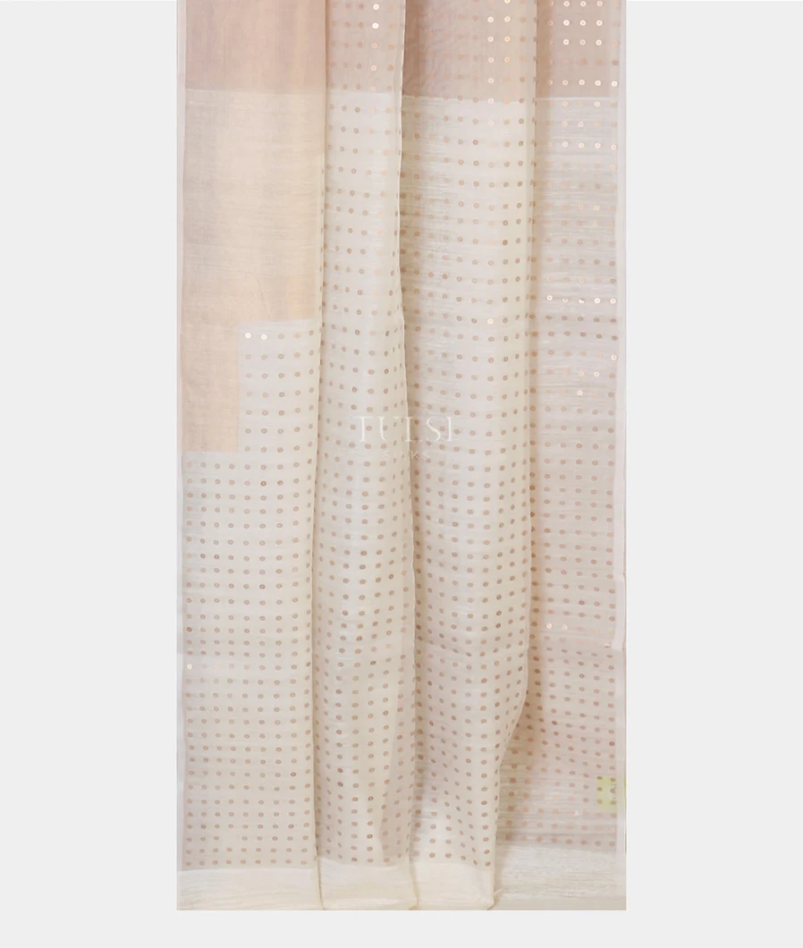 off-white-handwoven-tussar-saree-t571773-t571773-b