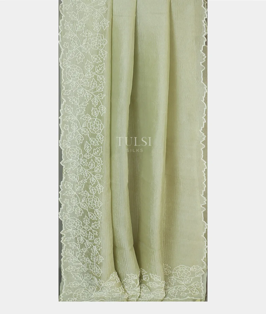 light-green-t577788-t577788-b