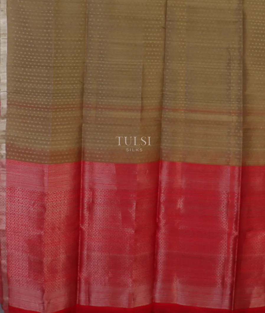 beige-woven-raw-silk-saree-t575349-t575349-d