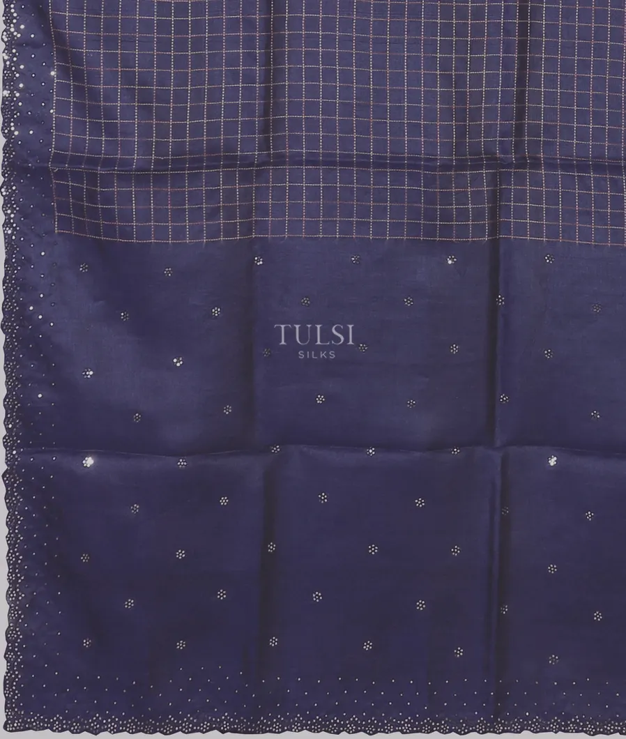 blue-tussar-embroidery-saree-t582469-t582469-d