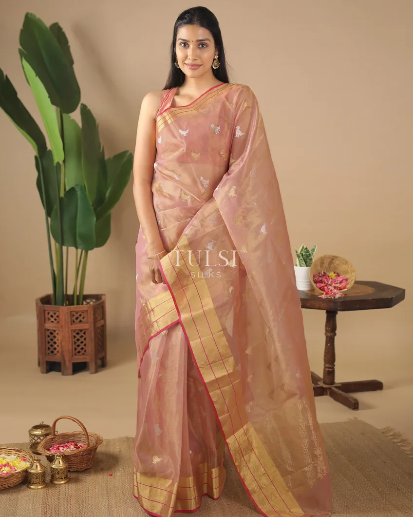 dusty-pink-tissue-chanderi-silk-saree-t584238-t584238-b