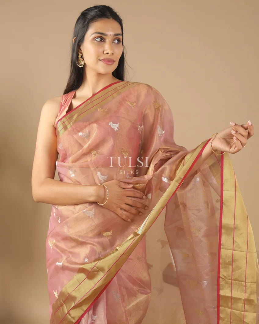 dusty-pink-tissue-chanderi-silk-saree-t584238-t584238-d