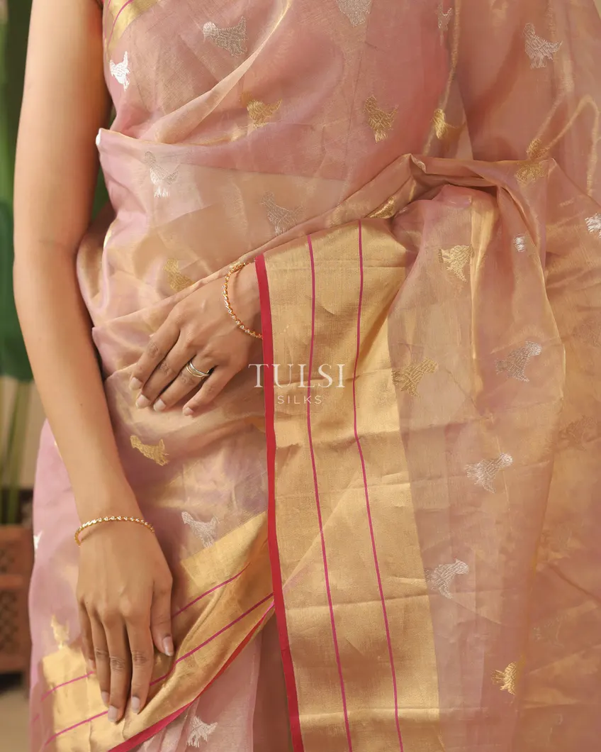 dusty-pink-tissue-chanderi-silk-saree-t584238-t584238-e