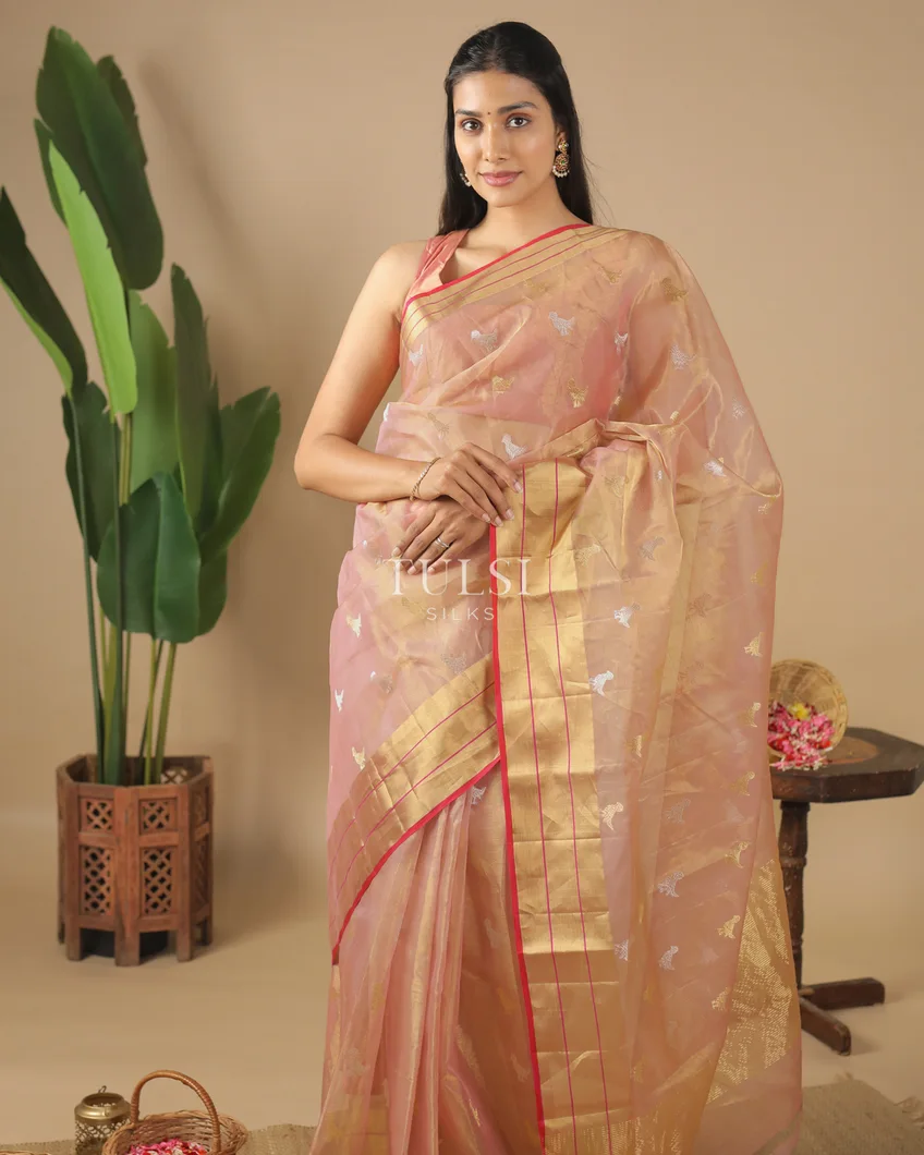 dusty-pink-tissue-chanderi-silk-saree-t584238-t584238-g