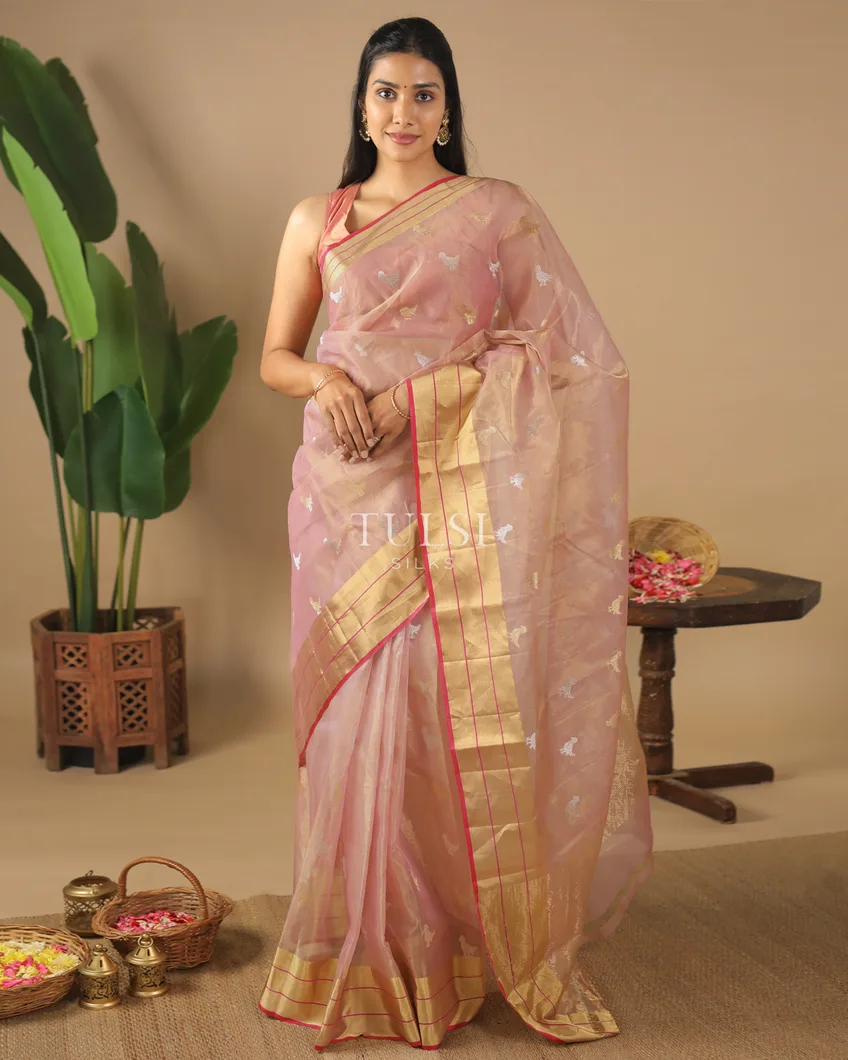 dusty-pink-tissue-chanderi-silk-saree-t584238-t584238-h