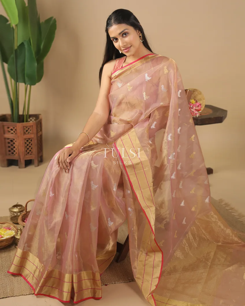 dusty-pink-tissue-chanderi-silk-saree-t584238-t584238-i