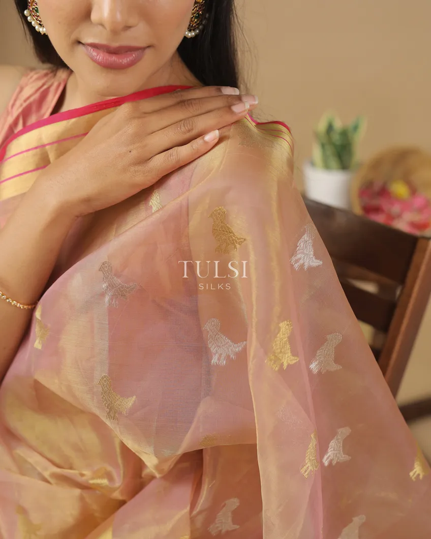 dusty-pink-tissue-chanderi-silk-saree-t584238-t584238-k