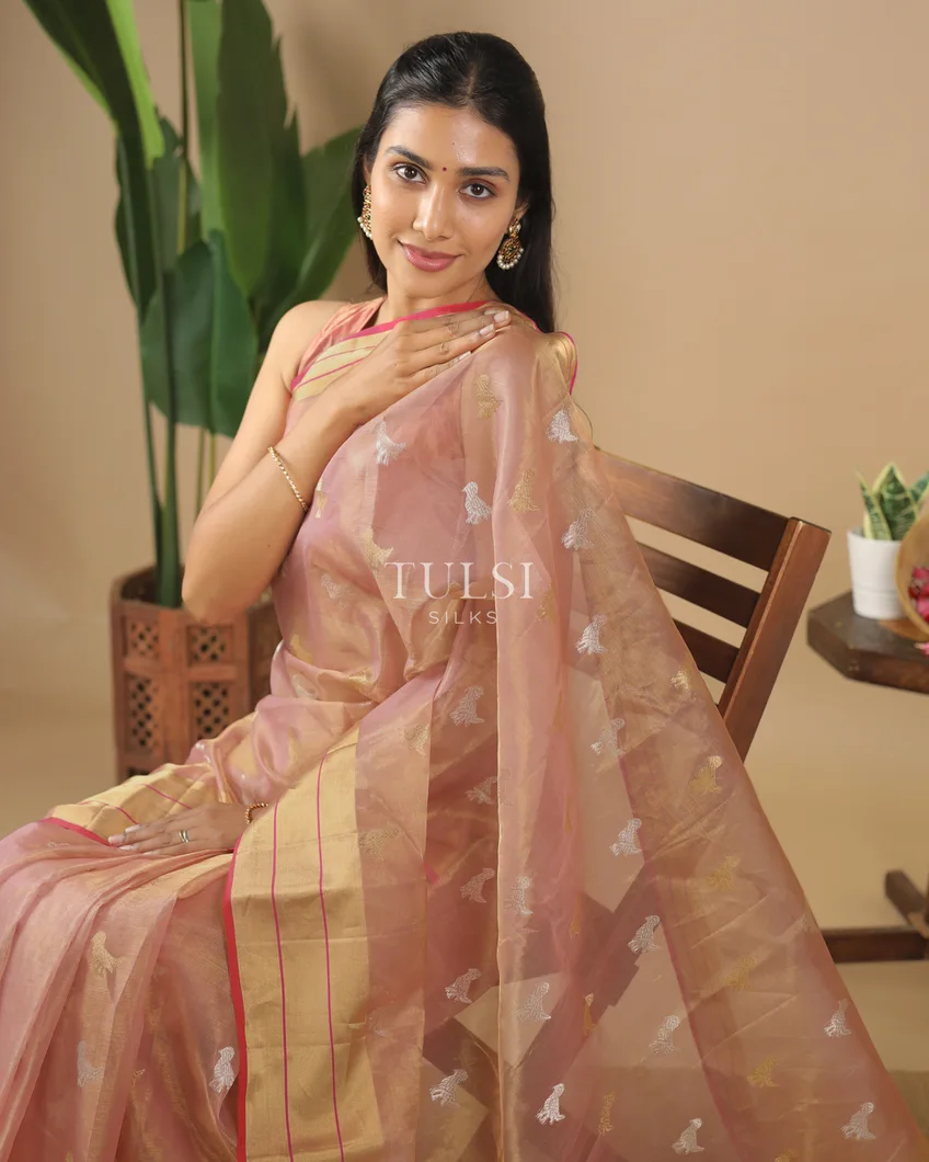 dusty-pink-tissue-chanderi-silk-saree-t584238-t584238-l
