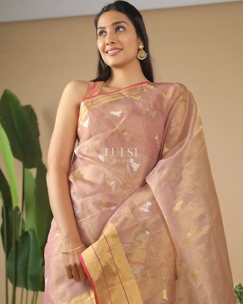dusty-pink-tissue-chanderi-silk-saree-t584238-t584238-m