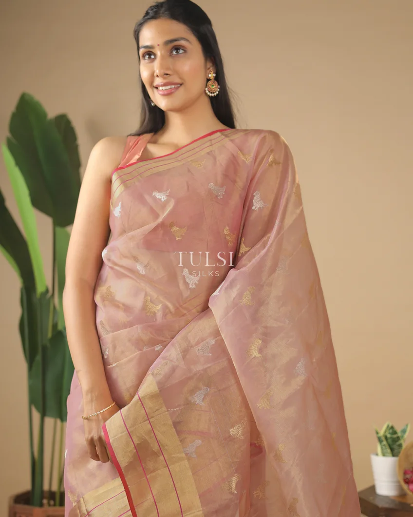 dusty-pink-tissue-chanderi-silk-saree-t584238-t584238-n