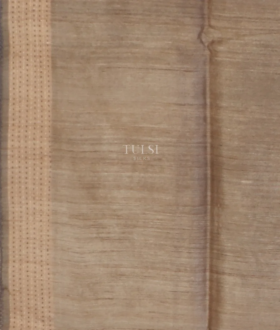 grey-tussar-embroidery-saree-t575779-t575779-c