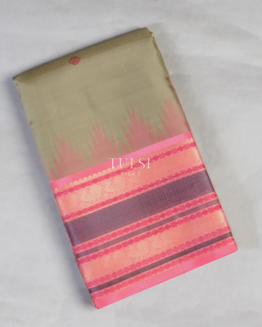 Light Khaki Brown Kanjivaram Silk Saree T582249-image